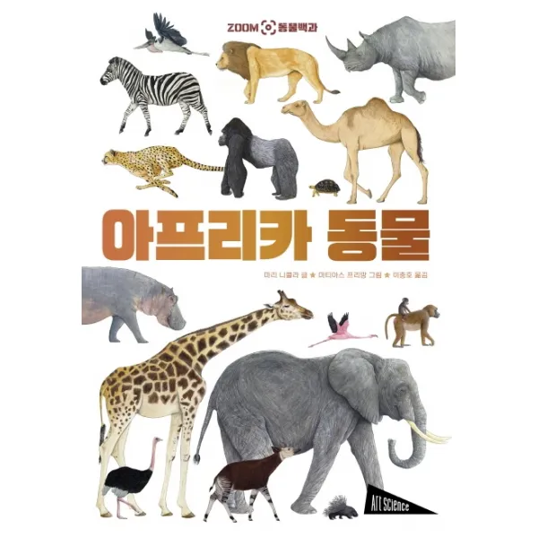 아프리카 동물, 보림, 마리 니콜라