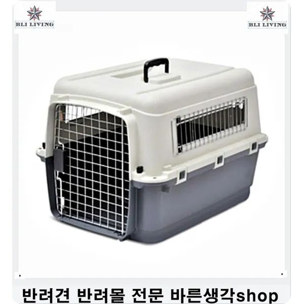 강아지눈물 미세먼지쌓인애완견눈세정하는 3개 강아지녹내장 시츄눈물 강아지눈꼽냄새 말티즈눈물 강아지눈물관리 강아지눈병 푸들눈물, 1개