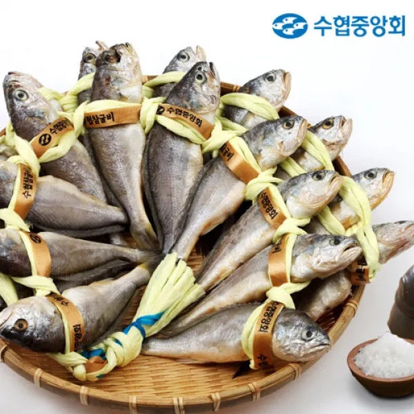 [선물세트] 수협 가을장대 실속 굴비세트 1.4kg (1두름/20마리), 단품