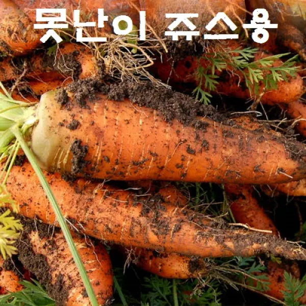 국내산 쥬스용 못난이 흙당근 (크기랜덤), 1box, 5kg
