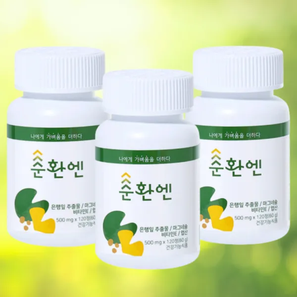 순환엔 약사가 만든 프리미엄 혈액순환영양제 혈행개선제 은행잎추출물 마그네슘, 500mg x 120정(2개월분)