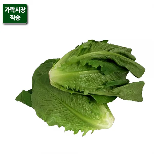 가락시장직송 통로메인 상추 1.8 2kg 단품