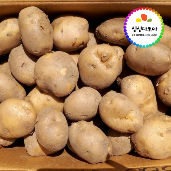 [싱싱다모아] 2020년 고랭지 햇 수미감자 봉화감자, 1개, 특 (요리용/찜용) 10kg