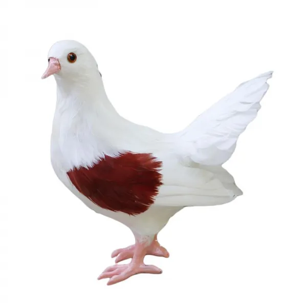 파티오 홈 캐비닛 장식 장식에 대 한 현실적인 비둘기 동상 조각 야드 아트 동상 화이트 레드 핑크