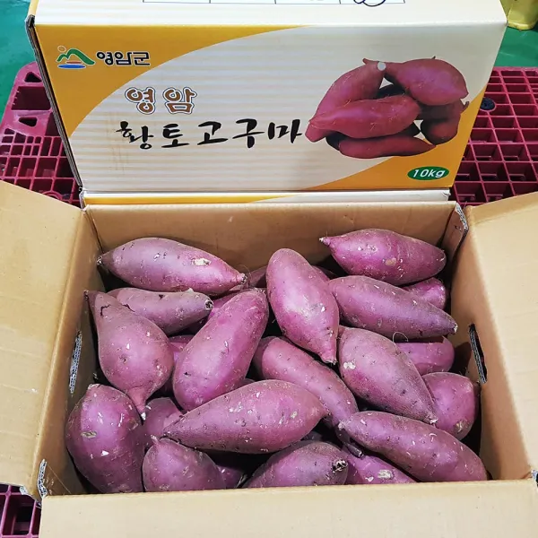 종복농산 고구마영암명품 황종복님 연지 꿀고구마 5 10kg 당도품질굿, 【황종복】연지 꿀고구마5kg(특상품)