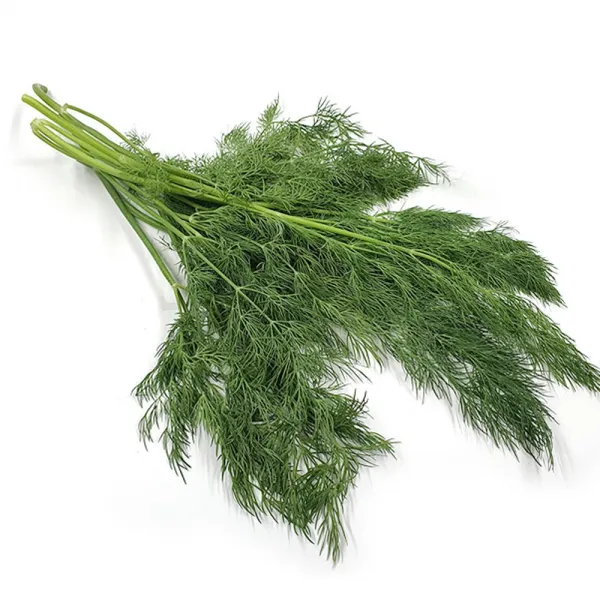 야채왕 허브 생잎 딜 100g 향신료