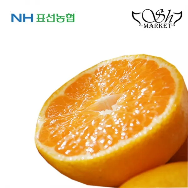 [제주산 감귤] 귤로장생 제주 고당도 하우스 감귤 3kg(20~22과수)/6kg(40~44과수)/신선 감귤 당일작업 현지직송/앏은 껍질 꽉찬 속 영양폭탄 제주감귤