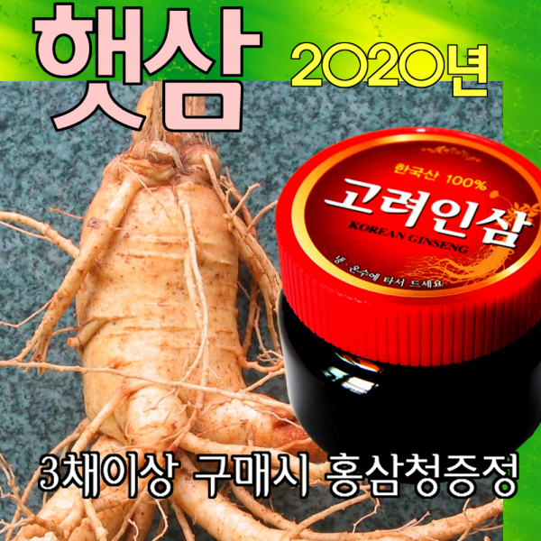 금산인삼아줌마 5호 왕난발삼 750g 산지에서 발송 가정용 수삼 1개 왕난발삼 5호 750g