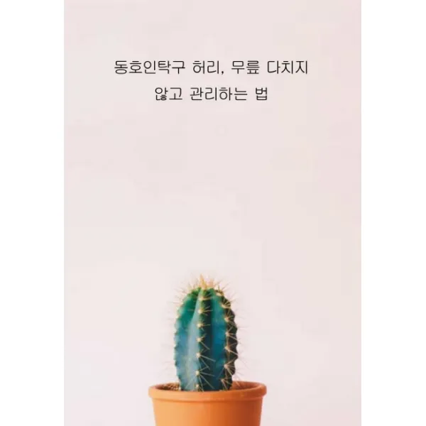 동호인탁구 허리 무릎 다치지 않고 관리하는 법, 테헤란씨씨
