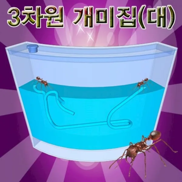 3차원 개미집 대사이즈 초등과학교구 서적 유아 조립키트 실험 학습 상자 키드 교재 자연, 1개