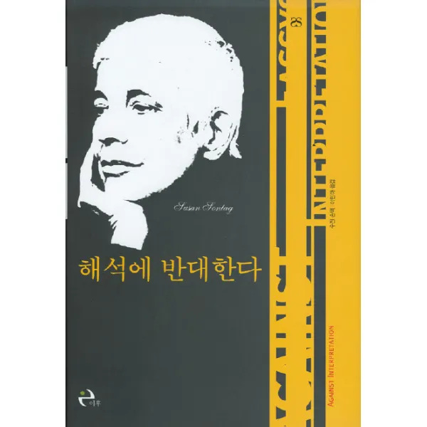 해석에 반대한다, 이후