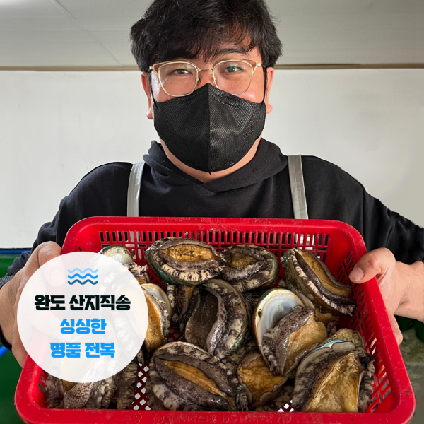 [프레시파머스] 산지직송 싱싱한 국산 완도 활 전복 사이즈별 모음 특대 대 중 (9016), 6. 요리용 형꼬마전복 55미 내외, 1kg