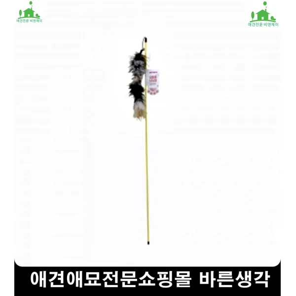 실내생활하는고양이활동력개발돕는 고양이가좋아하는것 애완고양이 캣낚시대