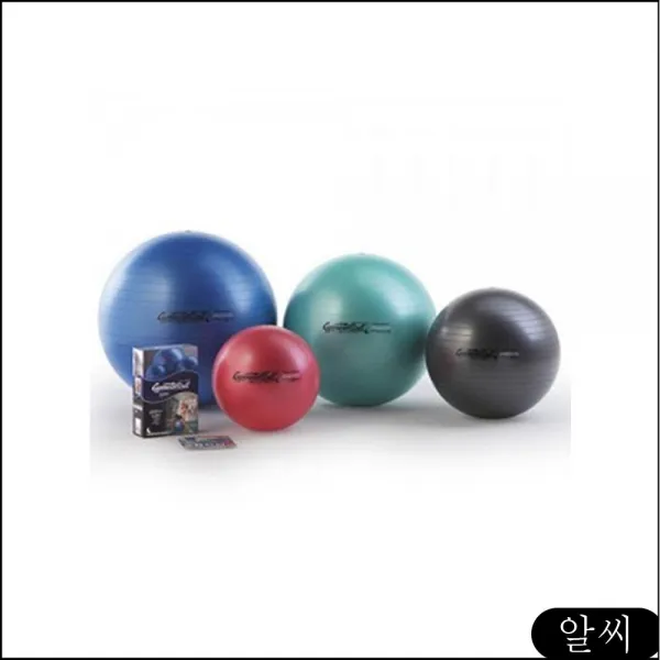 키드짐 페찌볼42 (지름)42cm 볼 메뉴얼 마개 특수재 볼용품 공 대근육용품 sgha
