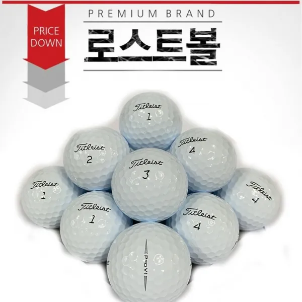 타이틀리스트 로스트볼 Pro V1x A+ 화이트 10개
