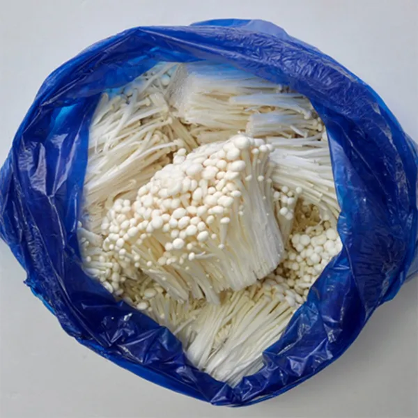 팽이버섯 2KG 4KG 8KG 초특가 무료배송, 1박스