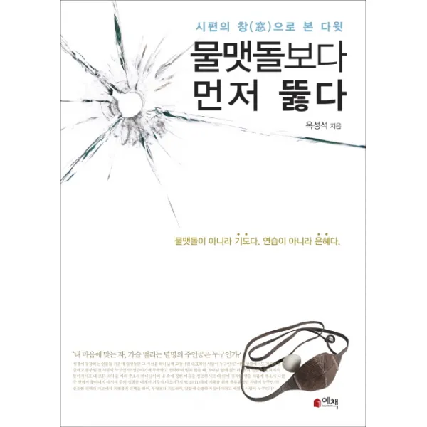 물맷돌보다 먼저 뚫다:시편의 창으로 본 다윗, 예책