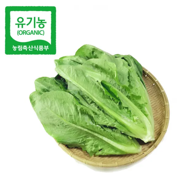 [산세로]친환경 포기로메인 3kg, 1개