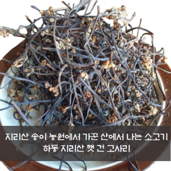 지리산송이농원 하동 햇 건고사리 국산 1봉 300g