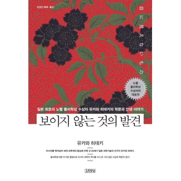 보이지 않는 것의 발견:일본 최초의 노벨 물리학상 수상자 유카와 히데키의 학문과 인생 이야기 김영사