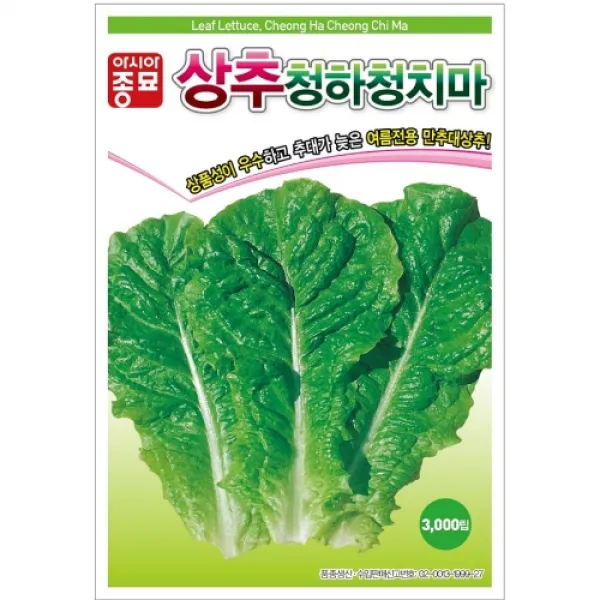 보람농자재 (상추종자씨앗) 청하청치마(3000립 6만립), 3000립