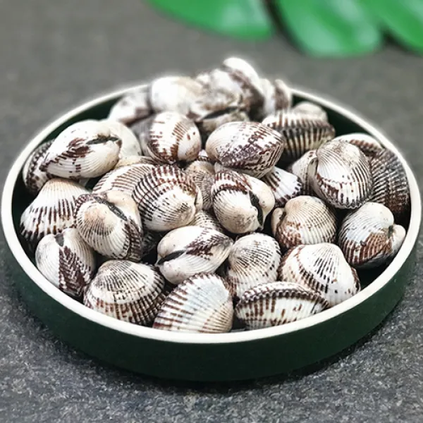 마파람수산 남해안 벌교새꼬막1kg, 1개, 새꼬막(특품)1kg[60마리내외]