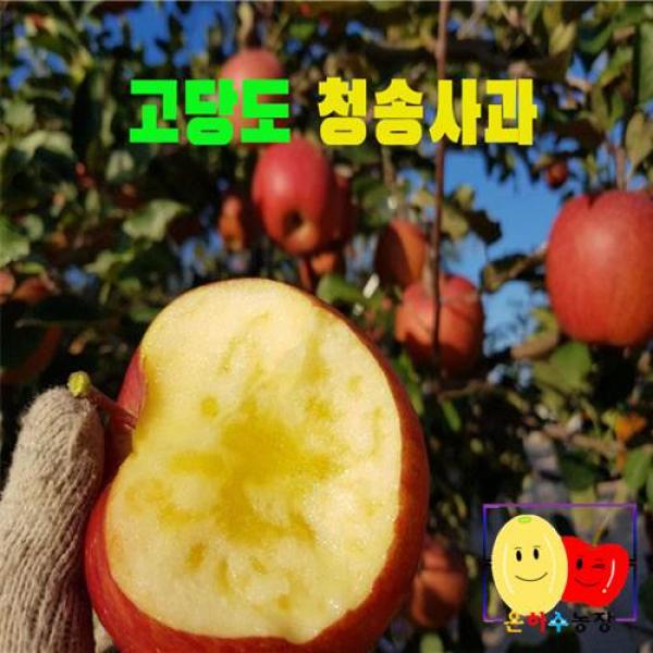  은하수농장 청송 고당도 가정용 흠집 사과 특가판매 1박스 05.가정용흠과 사과 2kg/대과