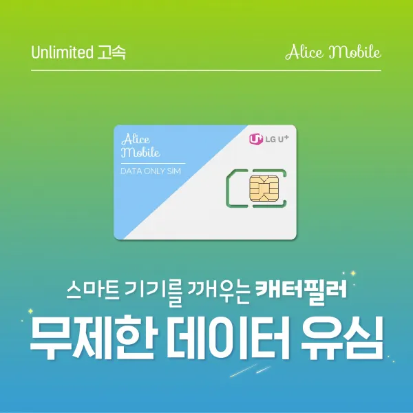  앨리스와이파이 휴대용 포켓 와이파이 에그 스마트 기기 전용 유심칩 30일/60일/90일 무제한 데이터 데이터 유심 30일 없음