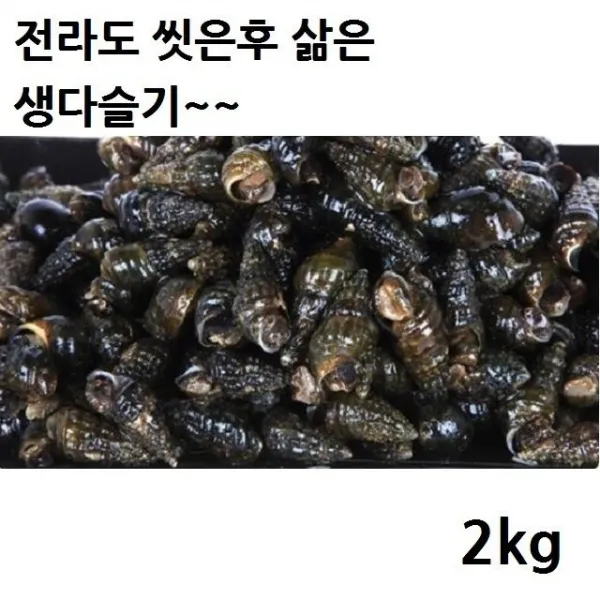 삶아놓은 우렁이 생다슬기 고동, 1
