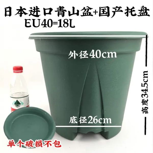 청 산분제근 이대 40CM 빅사이즈 두꺼운 레진 다육 나비 난초, 청 산등성이 EU40 （대야 _받침대