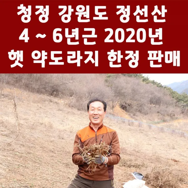  Dmall 한정 판매 강원도 정선산 고랭지 햇 약도라지/ Dn+8321/ /정선/도라지/강원/약도라지/뎓딘 중