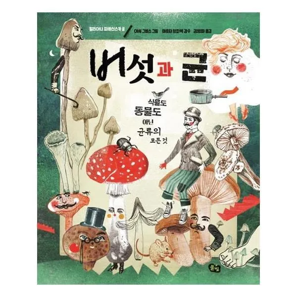 유니오니아시아 버섯과 균, 단일상품 | 단일상품@1