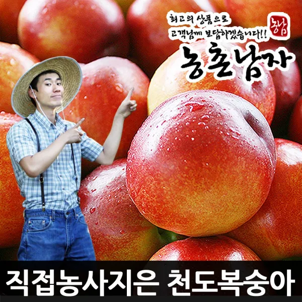 농촌남자 천도복숭아, 1개, 천도복숭아5kg(꼬마)