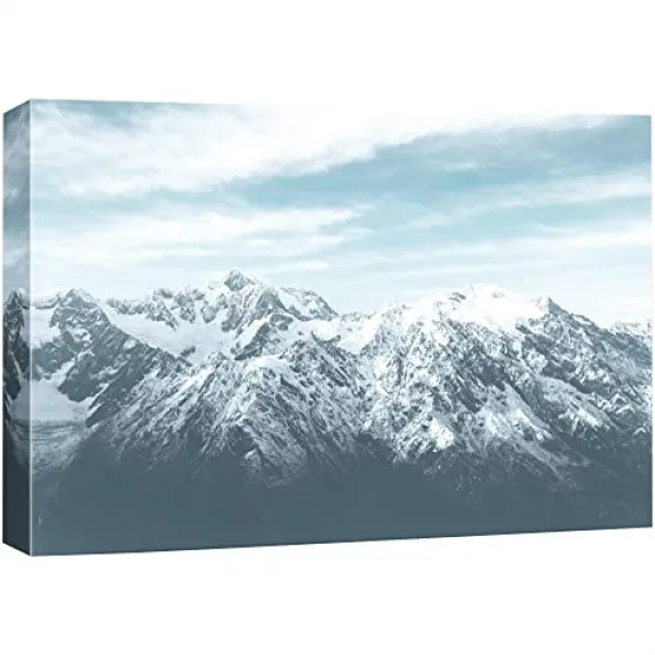 Nwt 캔버스 벽 예술 흐린 눈 위에 눈의 빈 자연의 광야 사진 리얼리즘 현대의 경치 시퀀스 편안한 거실 침실 사무실 16x24 B01 2104 Washout Vee23 