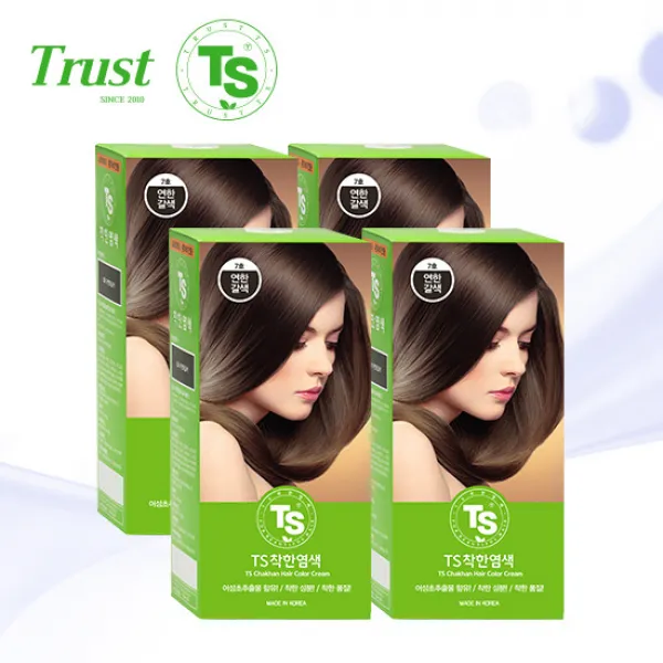 [TS] 착한염색 120g x 4개/염색약 셀프염색약추천 새치염색약, 색상:6호-R붉은갈색, 단품