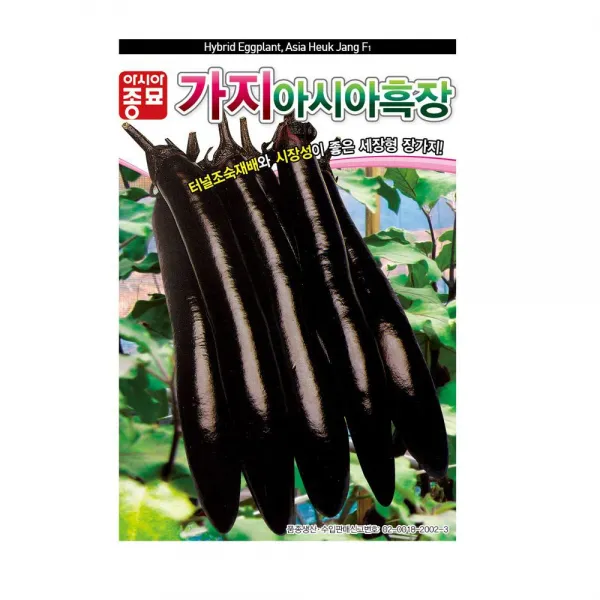 자체상품 터널조숙재배와 시장성 좋은 세장형 장가지
