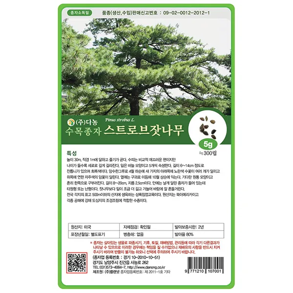 자귀나무씨앗 20g - 씨 씨앗 합환수 합혼수 야합수 유정수 소쌀나무 조경수 정원수 수목종자 나무씨앗 나무씨 수목씨앗 수목씨 나무, 24_다농_스트로브 잣나무(5g)