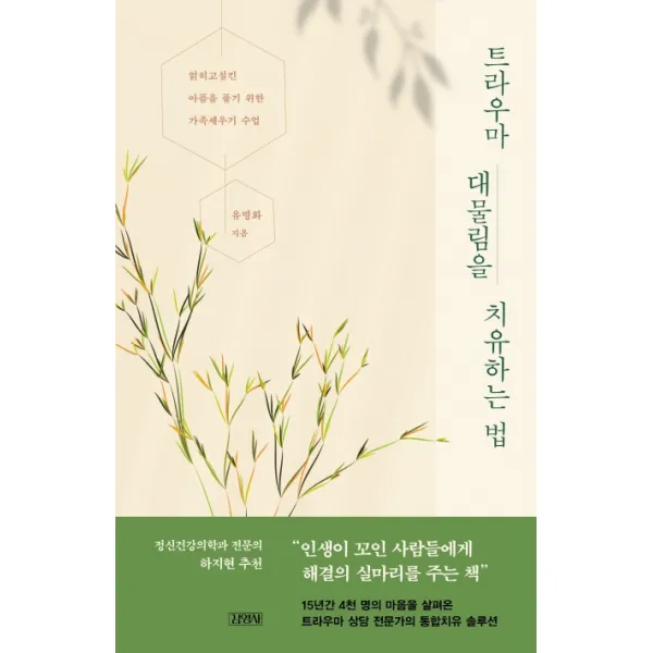 트라우마 대물림을 치유하는 법:얽히고설킨 아픔을 풀기 위한 가족세우기 수업, 김영사
