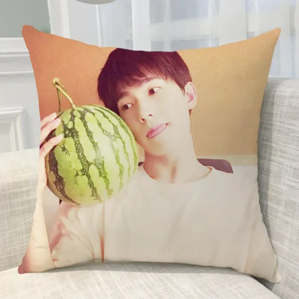 양양 베개 양면 맞춤 전업 고수 엽수 동일 쿠션 자 남녀 학 생일선물로 기본 45x45cm실크 선명한