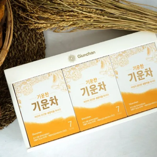 기운찬 기운차 선물세트 1호 21g 21티백 