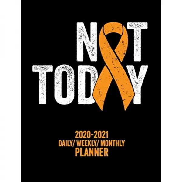 Not Today 다발성 경화증 : 2020-2021 일일 / 주간 / 월간 플래너 : 그리드 캘린더가있는 2 년 개인 플래, 단일옵션