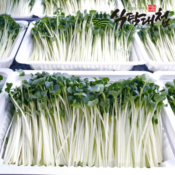 식탐대첩 수경재배 GAP 무순 150gX3팩, 단품