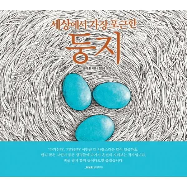 세상에서 가장 포근한 둥지, 썬더키즈, 헨리 콜