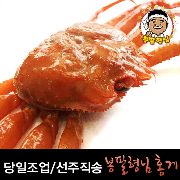 [봉팔형님] 홍게 당일조업 자숙, 1box, 고급박달 10마리(400g-500g)