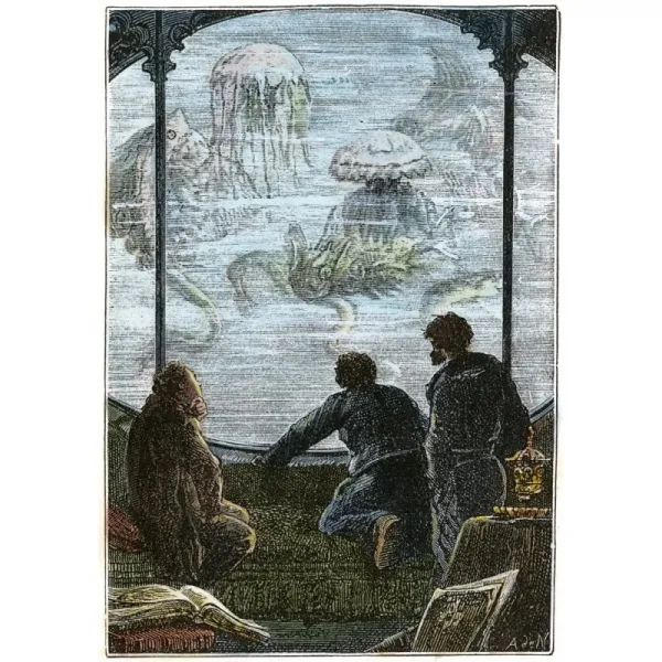 베른 20000 리그 1870 이 미개척의 심연으로 열린 창 1870년 편집국 알파인 드 뉴빌의 그림 이후 NemoS N, 단일옵션