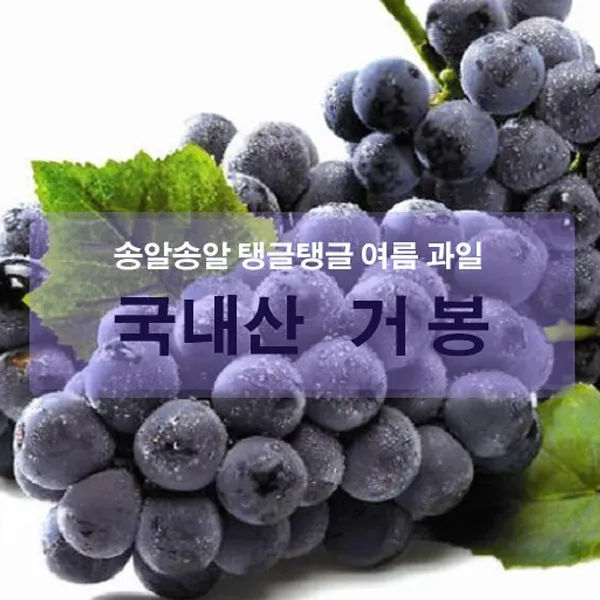 [삼경농산]국내산 하우스 거봉포도 2kg / 3~4송이, 1개