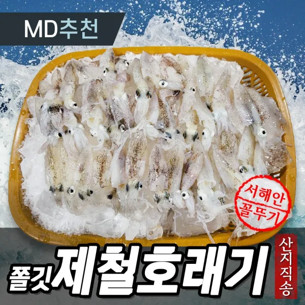 [산지직송] 최고급 급냉 꼴뚜기 호래기 횟감 국내산 생물 회 냉동 숙회 활 제철 자연산 하이푸드랩 1kg