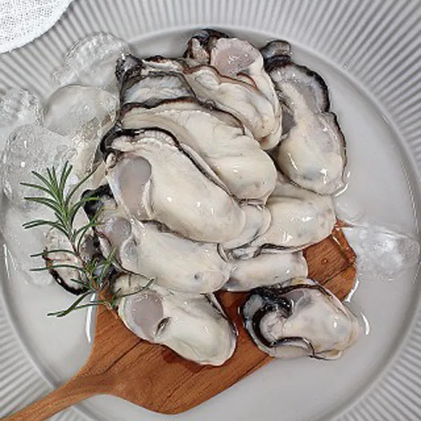 바다애수산 통영생굴(사이즈 대굴) 2kg, 단품