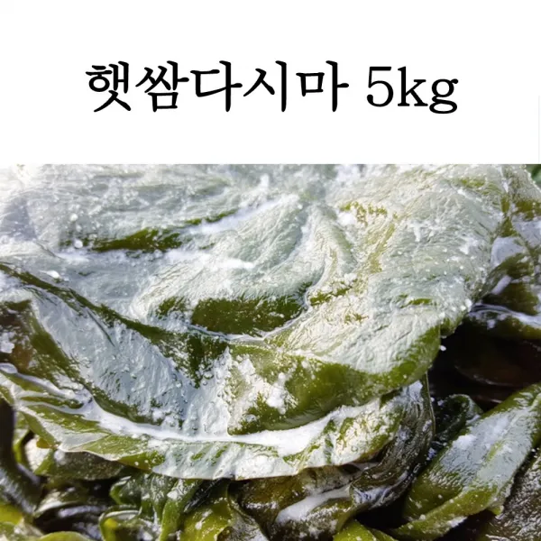전남 완도 직송 염장 햇 쌈다시마 쌈 다시마 2.5kg, 1개, 염장 쌈다시마 5kg