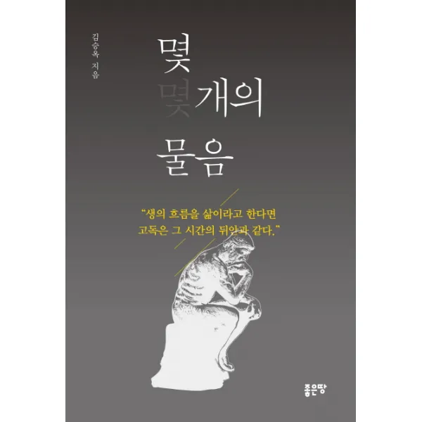 몇 개의 물음:생의 흐름을 삶이라고 한다면 고독은 그 시간의 뒤안과 같다, 좋은땅